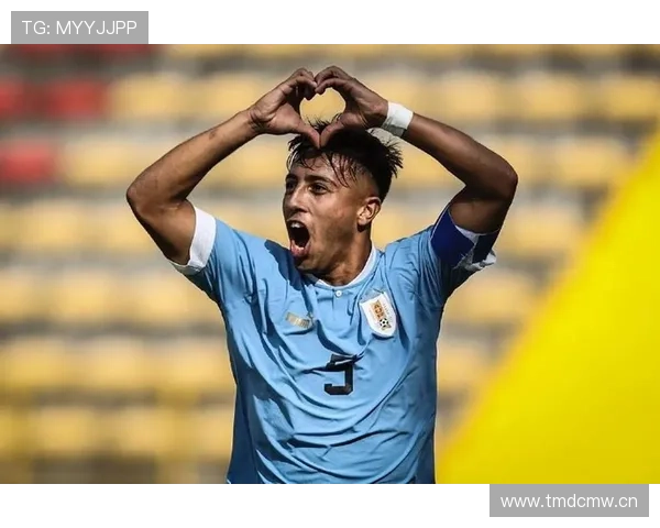 巴尔韦德的国家队表现：争议点在哪？实际贡献如何体现？