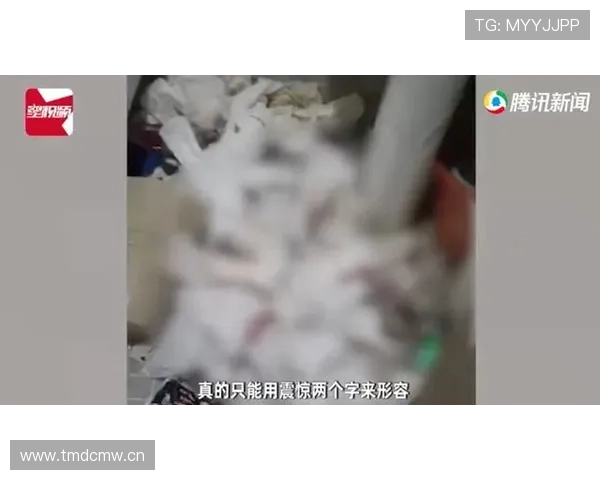 季丽萍衣柜比我房租还贵，瞬间感觉人生被秒了